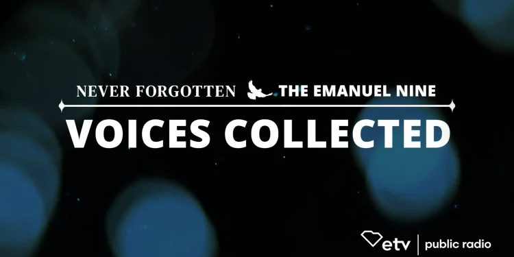 voices-collected-gavin-promo-1-–-vimeo