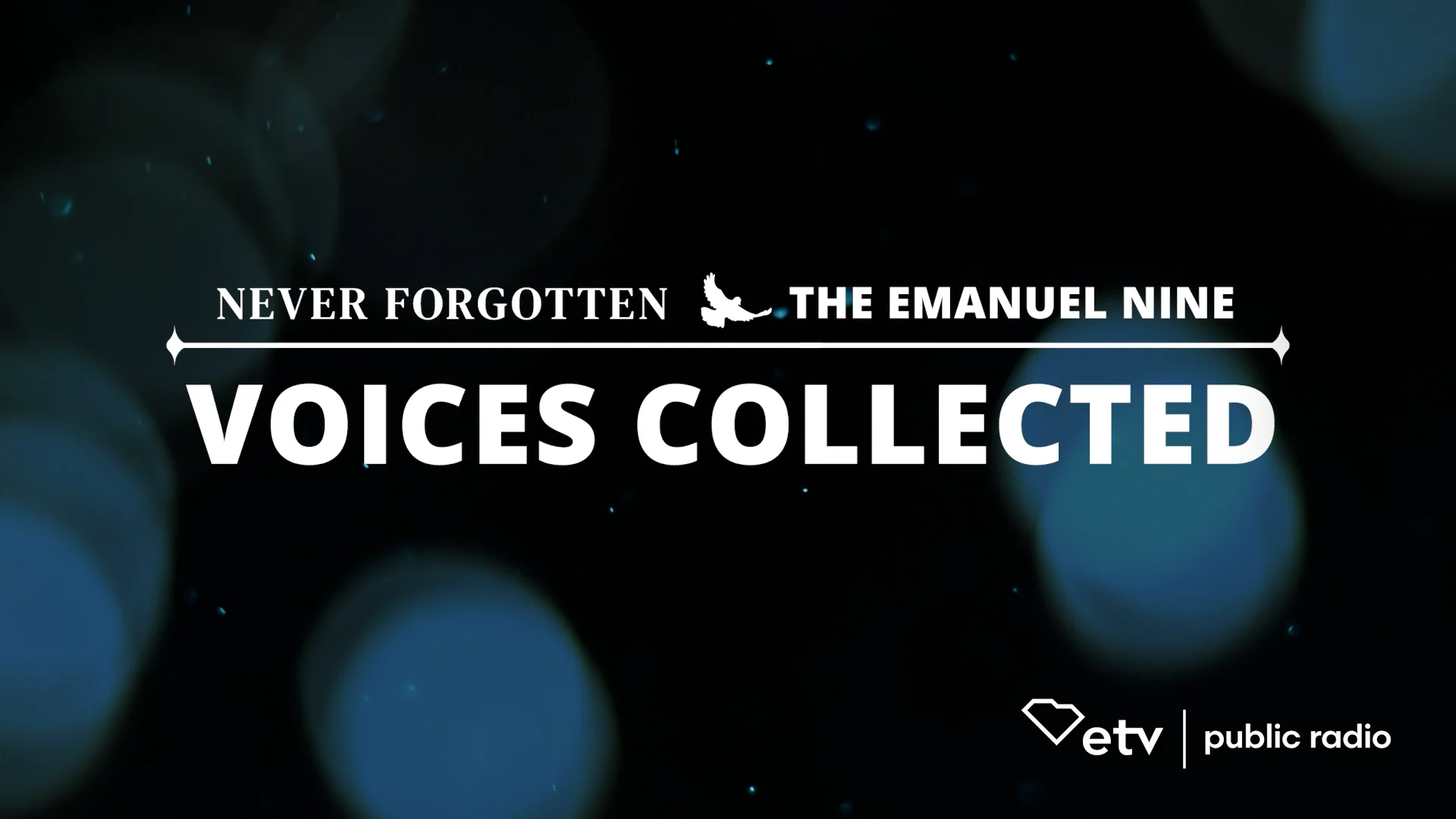 voices-collected-gavin-promo-1-–-vimeo