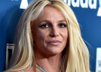 did-britney-spears-adopt-a-baby-or-is-she-trolling-instagram?-–-new-york-daily-news