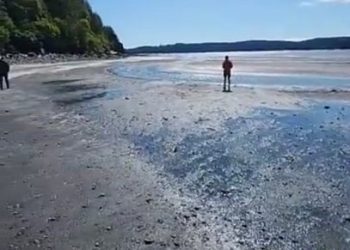 photo:-snapchat-user-showing-receding-waters-in-kodiak,-alaska-–-cedar-news