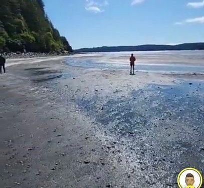 photo:-snapchat-user-showing-receding-waters-in-kodiak,-alaska-–-cedar-news