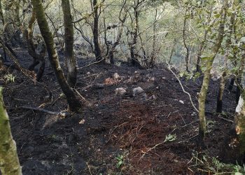 overnight-incidents-–-13/14-july-2025-–-south-yorkshire-fire-and-rescue