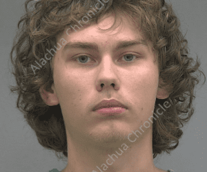 gainesville-man-arrested-on-13-child-pornography-charges-–-alachua-chronicle
