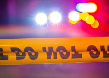 key-west-man-arrested-after-officials-say-he-uploaded-child-abuse-material,-bestiality-videos-…