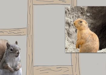 the-podcast-news-with-mr-squirrel-–-gameindustry.com