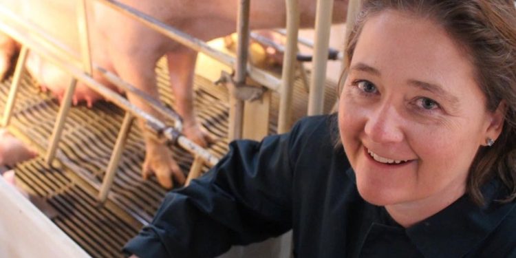 ag-bird-drops-her-lawsuit-against-winneshiek-county-over-sheriff’s-facebook-post