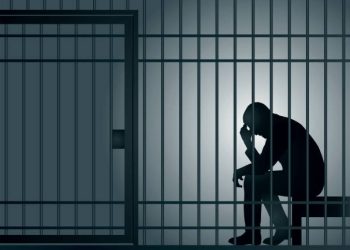 feds:-wny-child-predator-that-had-over-2000-images-of-child-abuse-pleads-guilty