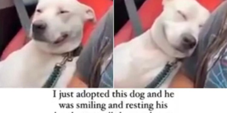 here-are-the-funniest,-most-wholesome,-and-most-interesting-things-i-saw-on-the-internet-…