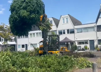 havenzathe-3-–-vimeo