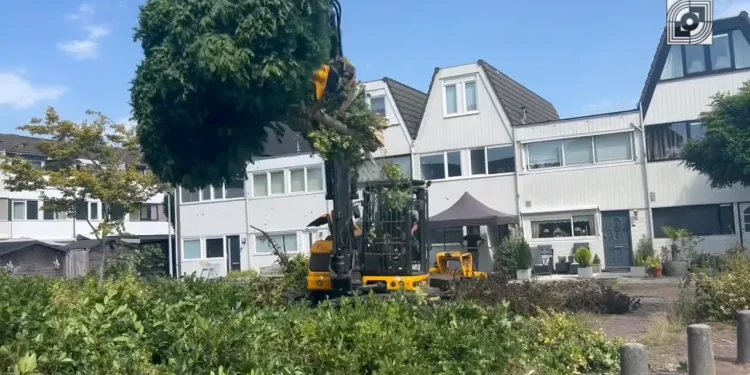 havenzathe-3-–-vimeo