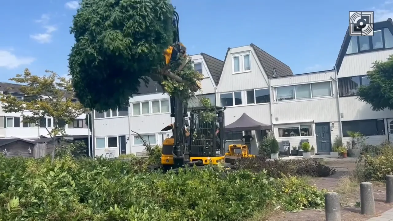 havenzathe-3-–-vimeo