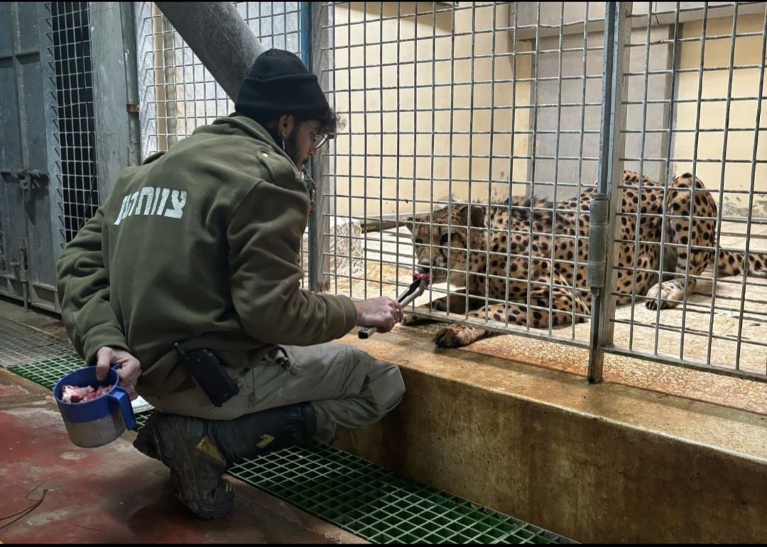 the-best-way-to-protect-zookeepers?-get-rid-of-zoos-|-jason-baker-|-the-times-of-israel