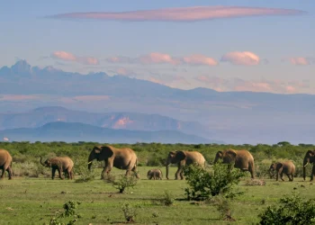 coming-to-vpm-passport-september-2025-–-vimeo