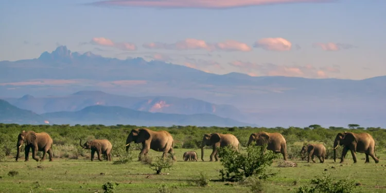 coming-to-vpm-passport-september-2025-–-vimeo