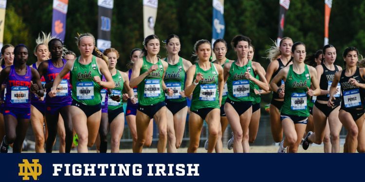 acc-preseason-polls-prominently-feature-irish-–-notre-dame-athletics