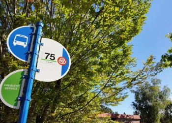 chaku-kəmtəks-haws-b-roll-and-crowd-on-vimeo