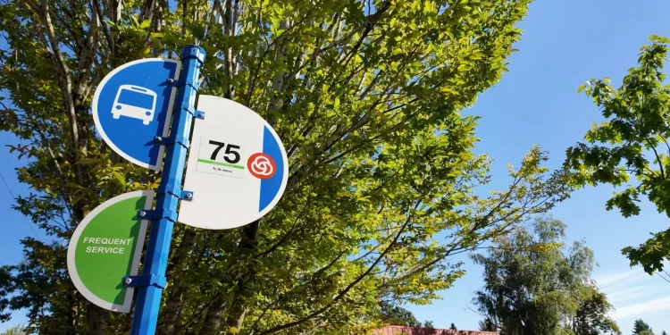 chaku-kəmtəks-haws-b-roll-and-crowd-on-vimeo