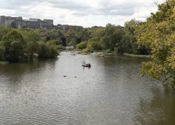 what-you-need-to-know-about-the-mayo-island-park-transformation-–-vimeo