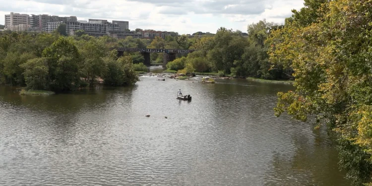 what-you-need-to-know-about-the-mayo-island-park-transformation-–-vimeo