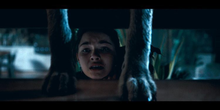 spoiler-free-reviews:-coyotes-and-open-wide-(fantastic-fest-2025)-–-horrorfuel.com