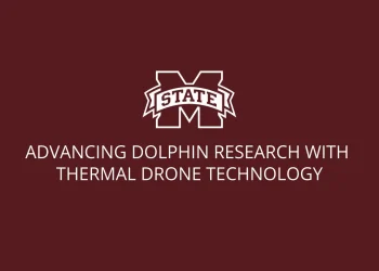 dolphin-research-with-thermal-drone-imaging-–-vimeo