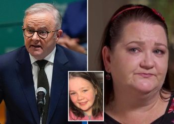 mom-who-lost-daughter,-15,-to-suicide-after-online-bullying-urges-un-general-assembly-to-…