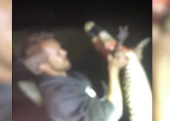 gator-poaching-ring-busted-in-central-florida-after-photos-shared-to-snapchat-–-wesh