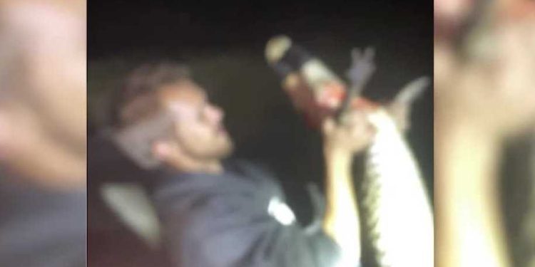 gator-poaching-ring-busted-in-central-florida-after-photos-shared-to-snapchat-–-wesh