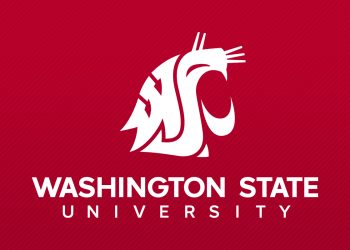 oct.-13:-walton-lecture-features-insights-from-micron-senior-risk-manager-|-wsu-insider