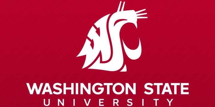 oct.-13:-walton-lecture-features-insights-from-micron-senior-risk-manager-|-wsu-insider