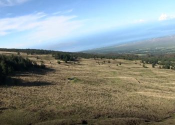 10/07/25-–-public-meeting-for-kamehamenui-forest-reserve-draft-…