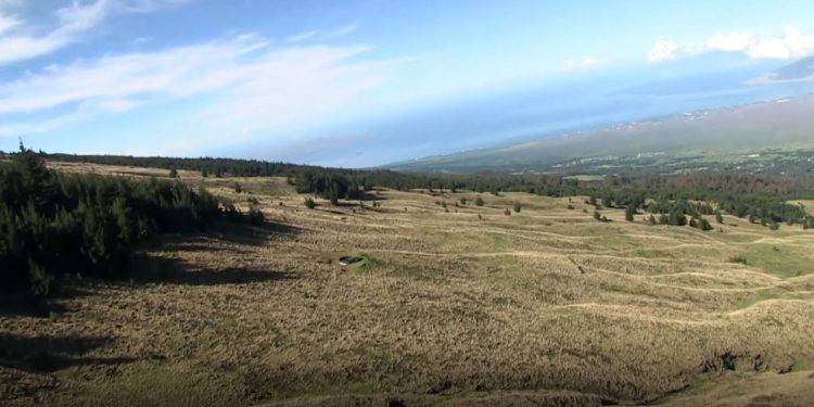 10/07/25-–-public-meeting-for-kamehamenui-forest-reserve-draft-…