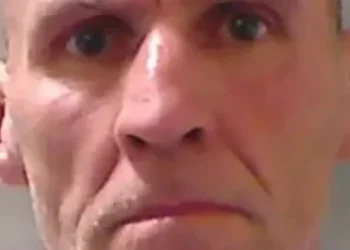 ‘sickening’-predator-who-lured-dozens-of-kids-in-uk-fails-in-bid-for-freedom-–-the-mirror