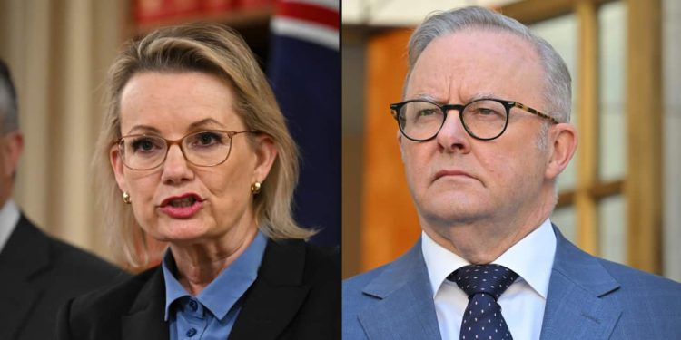 ‘concern’-over-prime-minister-and-opposition-leader’s-phone-numbers-being-leaked-–-sbs