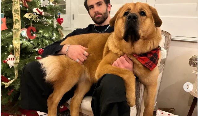 hasanabi’s-dog-sitter-speaks-out-amid-twitch-streamer’s-animal-abuse-controversy