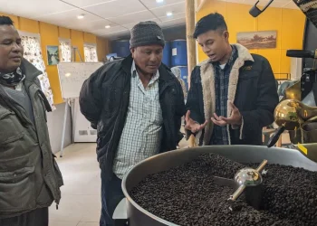 linkedin-and-chatgpt:-how-a-meghalaya-start-up-drives-online-sales-|-idr