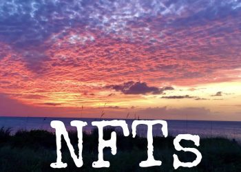 linkedin-co-founder-announces-acquisition-of-cryptopunk-nft-|-crowdfund-insider