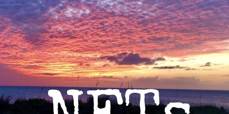 linkedin-co-founder-announces-acquisition-of-cryptopunk-nft-|-crowdfund-insider