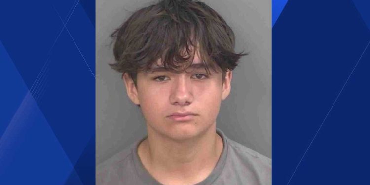 teen-arrested-for-making-homemade-explosive;-mother-says-it-was-a-misunderstanding