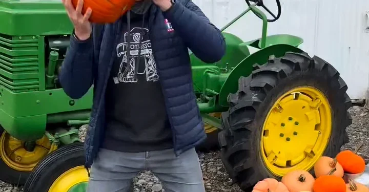 ziptrips-pumpkin-toss-–-vimeo