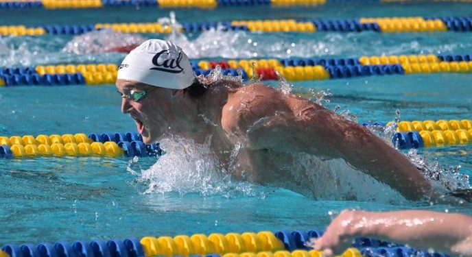 cal-enjoys-strong-showing-in-triple-distance-meet-–-california-golden-bears-athletics