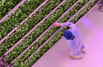 linkedin:-people-may-not-realise-the-skills-they-have-could-support-climate-action