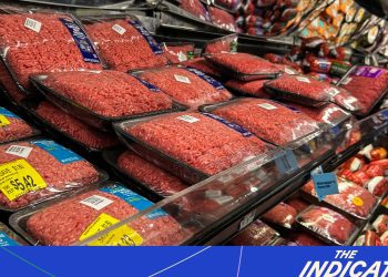 pay-transparency-the-whatsapp-and-instagram-decision-our-beef-with-screwworms.