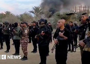 anti-hamas-armed-groups-seek-future-role-under-gaza-peace-plan-–-bbc