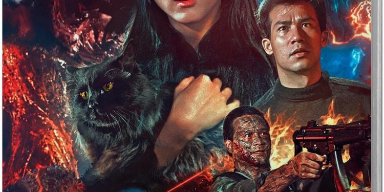 movie-review:-the-cat-(1991)-–-88-films-blu-ray-–-horrorfuel.com