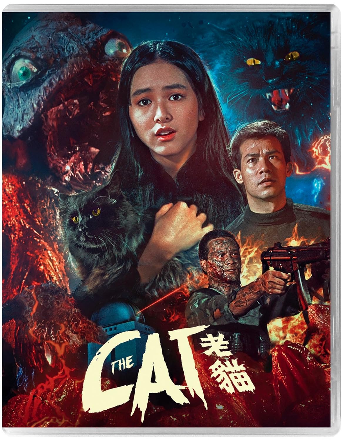 movie-review:-the-cat-(1991)-–-88-films-blu-ray-–-horrorfuel.com