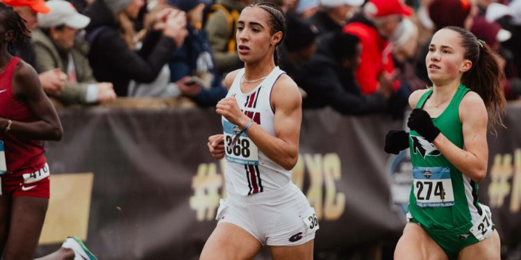 elbadra-secures-ustfccca-all-american-status-–-university-of-south-carolina-athletics