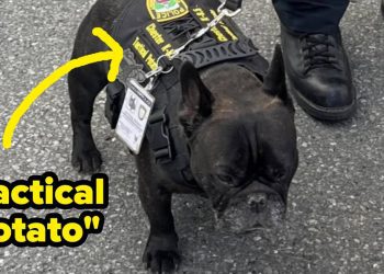 here-are-some-gems-the-internet-blessed-us-with-this-week-–-buzzfeed