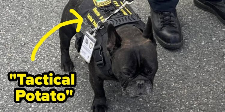here-are-some-gems-the-internet-blessed-us-with-this-week-–-buzzfeed