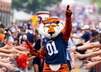 get-to-know:-brynn-torry-–-auburn-tigers-–-official-athletics-website